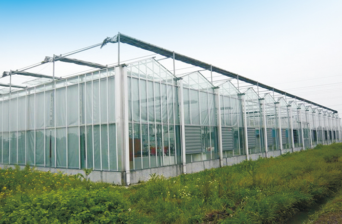 河北國(guó)富恒聯(lián)農(nóng)牧有限公司元氏縣蔬菜基地工程