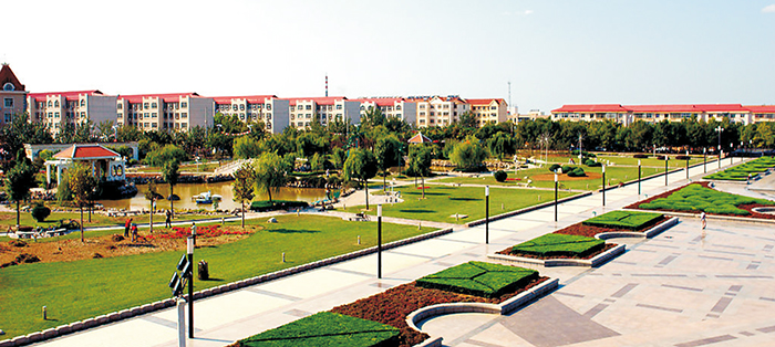 黃驊市南排河鎮(zhèn)趙家堡、賈家堡村民聯(lián)建工程